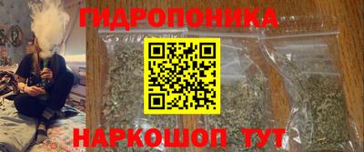 a pvp Лесосибирск